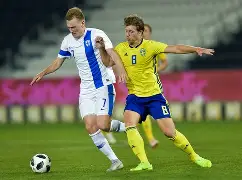 战绩表现！球员们为争夺欧预赛资格不懈努力的简单介绍