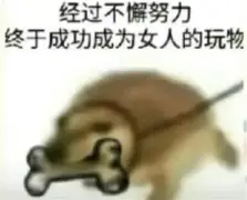 战绩表现！球员们为争夺欧预赛资格不懈努力的简单介绍