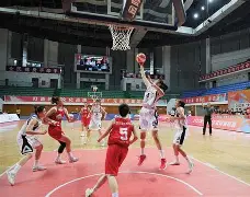 荷兰巅峰联赛收官进入激烈争夺阶段(荷兰巅峰联赛收官进入激烈争夺阶段了吗)